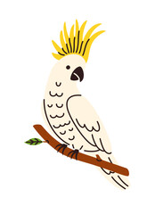Fototapeta premium A cute cockatoo perched on a branch. Perfect for children's books and tropical branding.