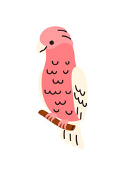 Obraz premium A tropical pink cockatoo perches on a branch. Perfect for children's books and tropical branding.