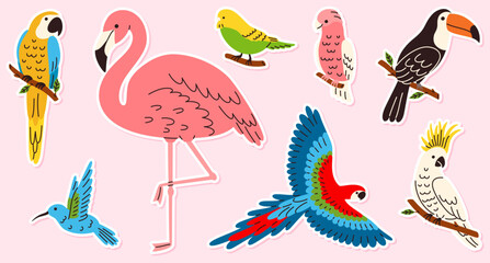 Obraz premium A collection of tropical bird stickers featuring flamingos, parrots, and toucans. Perfect for children's books, summer branding, and tropical-themed projects.