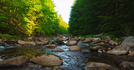 Scenic mountain river flowing through a dense green forest with large rocks and clear water. Peaceful wilderness landscape captured during spring, ideal for nature and travel themes. © Jag_cz