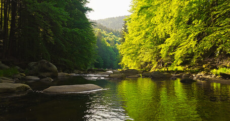 Scenic mountain river flowing through a dense green forest with large rocks and clear water. Peaceful wilderness landscape captured during spring, ideal for nature and travel themes. © Jag_cz