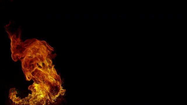 Vibrant dancing flames of fire burning on a black background.