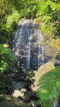 The El Yunque National Park in Puerto Rico is a beautiful rainforest with waterfalls and hiking trails.