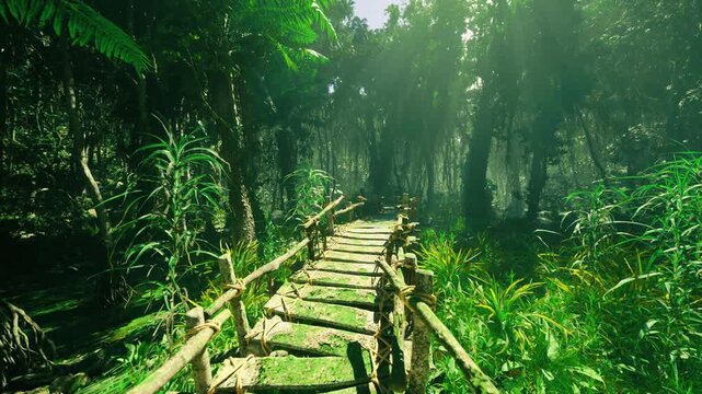sunlit wooden boardwalk leading into jungle tropical foliage arching overhead, warm light filtering through leaves, inviting path for adventure and eco travel,
