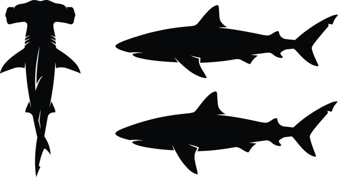 A professional minimalist black vector silhouette set featuring a hammerhead shark and great white sharks