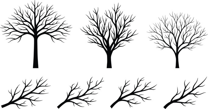 Collection of leafless tree and branch silhouettes showing natural winter forest shapes for botanical and nature design elements