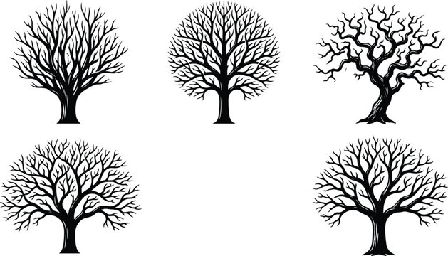 Collection of Leafless Tree Silhouettes Set Isolated on White Background Decorative Nature Vector Illustration
