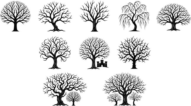 Collection of Leafless Tree Silhouettes and Decorative Bare Branch Trees Isolated Vector Set for Design