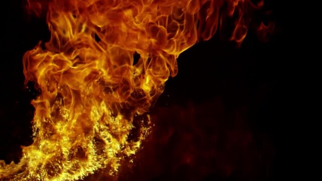 Vibrant dancing flames of fire burning against a dark black background.