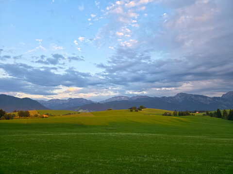 germany, endless alpine meadows glowing softly in warm sunset light beneath open summer skies