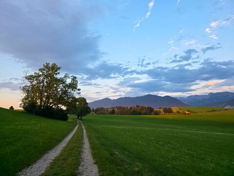germany, peaceful trail beside trees and meadows with radiant alpine backdrop at golden hour