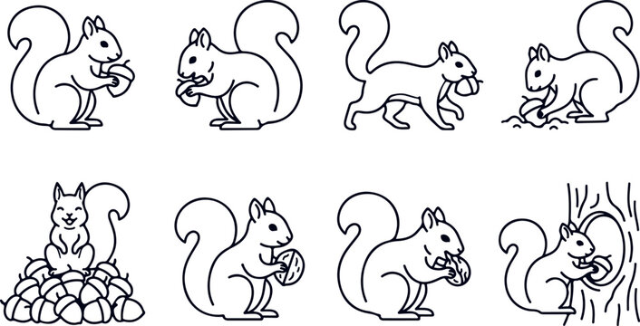 Cute cartoon squirrel collection graphic illustration isolated on checkered background vector drawing.