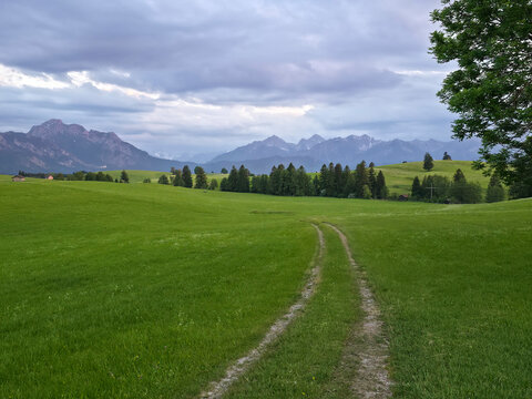 germany, hiking path toward trees beneath tegelberg with expansive meadows and glowing alpine sunset