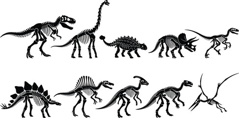 Dinosaur Skeletons Set: Tyrannosaurus Stegosaurus Triceratops © MD ASADUZZAMAN