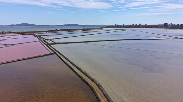 A flock of flamingos moves through shallow water in salt flats. The sun shines overhead as the city skyline stands in the background, adding contrast to the natural landscape.
