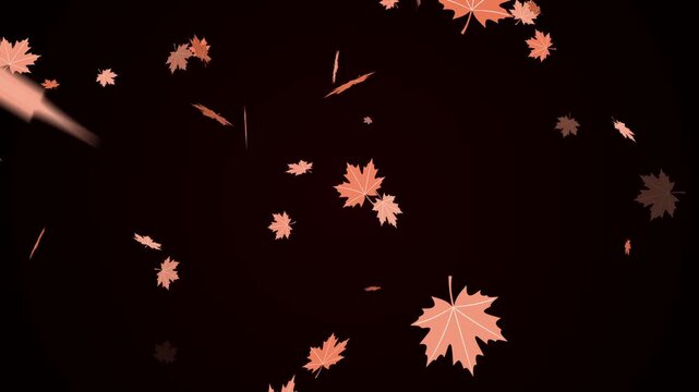 Autumn maple leaves falling animation on a dark cinematic background with smooth natural motion and seasonal atmosphere
