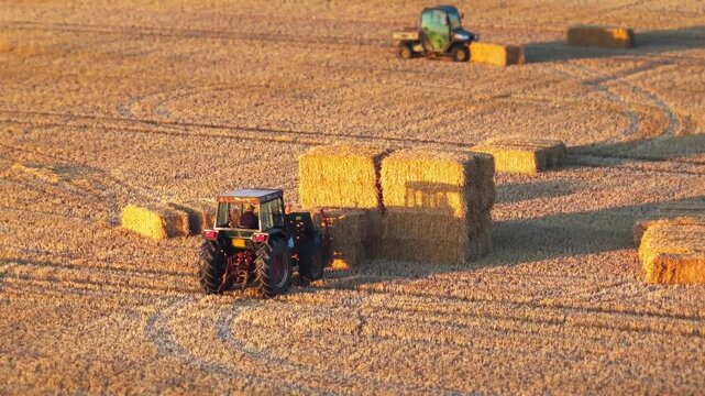 Aerial drone view of a red tractor stacking hay bales during summer harvest on the Isle of Wight, with long sunset shadows stretching across the field.