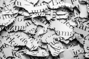Fototapeta premium Scraps of paper with words and letters from magazines and newspapers. Newspaper paper strips background.
