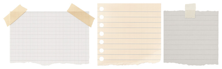 Fototapeta premium PNG Torn paper notes collection, transparent background