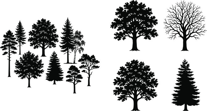 Collection of Tree Silhouettes Featuring Coniferous, Deciduous, and Leafless Designs with Rounded Canopies and Distinct Branch Structures