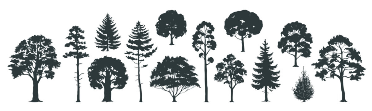 Diverse tree silhouettes collection, forest elements, isolated on white