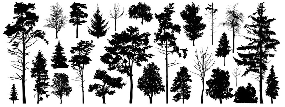 Diverse tree silhouettes collection, forest elements, nature graphic