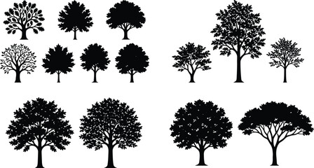 Collection of twelve diverse tree silhouettes including broadleaf coniferous and rounded forms for forest landscape botanical and nature design © MdMenhajul