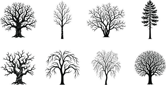 Leafless Tree Silhouette Collection Featuring Bare Branch Winter Trees for Nature Vector Design Projects