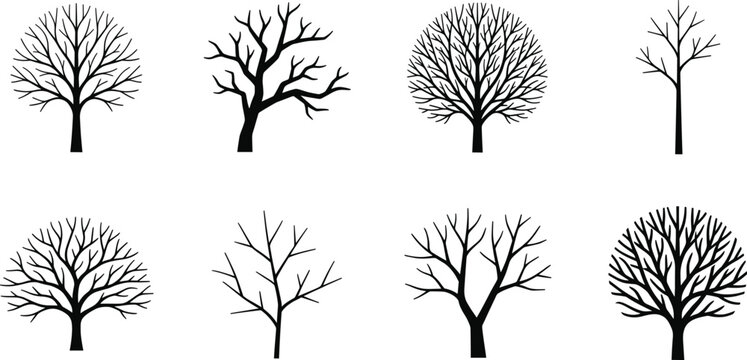 Leafless Tree Silhouette Collection with Bare Branch Designs for Nature Vector and Seasonal Illustration Projects