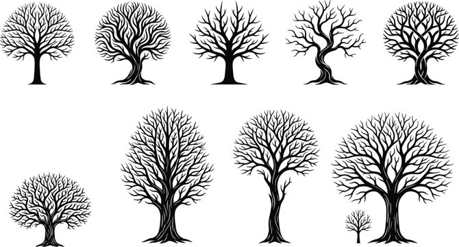 Leafless Tree Silhouette Collection with Twisted Bare Branches Isolated Vector Set for Nature Design Projects