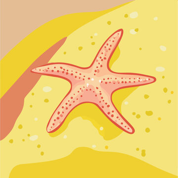 Illustration of a pink starfish on a sandy beach with waves