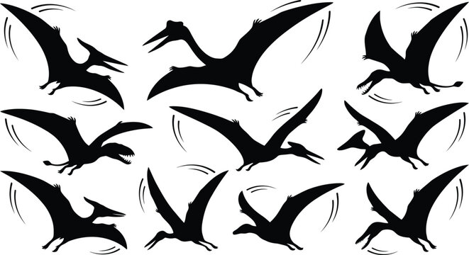 Pterodactyl silhouettes flying prehistoric dinosaur icons