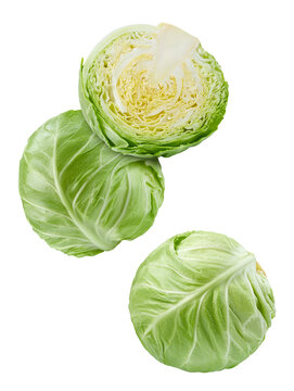 Falling young cabbage isolated on white