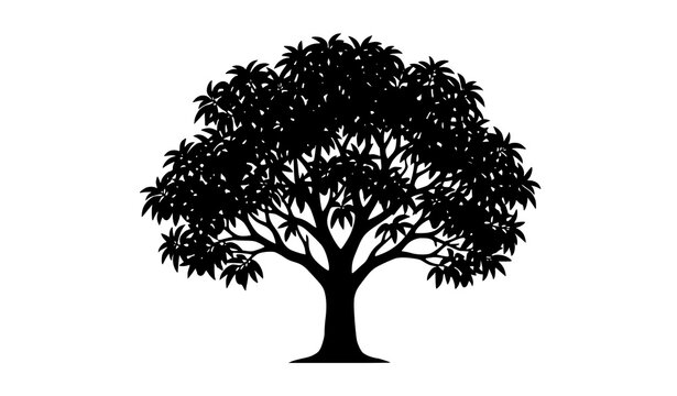 Black Mango Tree Silhouette Vector Illustration Isolated on White Background
