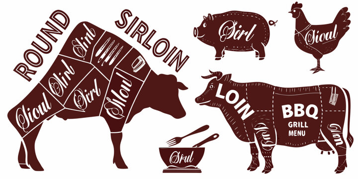 beef cut diagram vector illustration cow sirloin