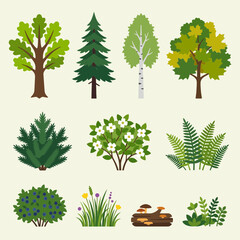 Fototapeta premium Various trees and plants in a natural forest collection ecologically illustrated