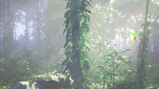 Ethereal Malaysian rainforest with vine pillars rising through soft fog, diffuse light filtering through dense canopy, mossy trunks and layered foliage creating