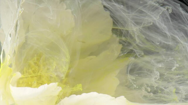 Petal core enveloped by milky currents and ink plumes, soft yellow tones and translucent layers create slowmotion botanical study with highdetail texture
