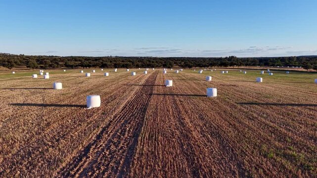 Agricultura moderna