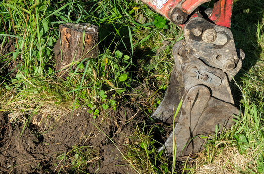 Excavator bucket removing tree stump in a natural outdoor setting with soil, root and fresh earth exposed.