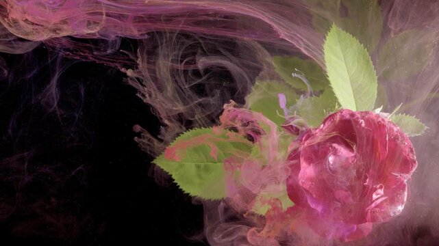 Rose drifting in pastel ink swirls, botanist experiment vibe, soft motion, green foliage peek, dark negative space, gentle smoke ribbons, surreal calm