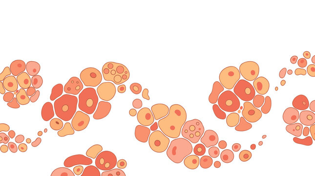 Scientific illustration background with realistic colorful cell structures and human tissue grid on white backdrop.