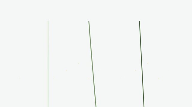 Three thin green stems isolated against a clean solid white background