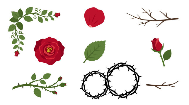 Collection of Red Rose Flowers Leaves and Thorns Elements.