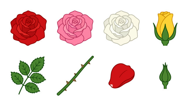 Set of colorful hand drawn rose flower elements.