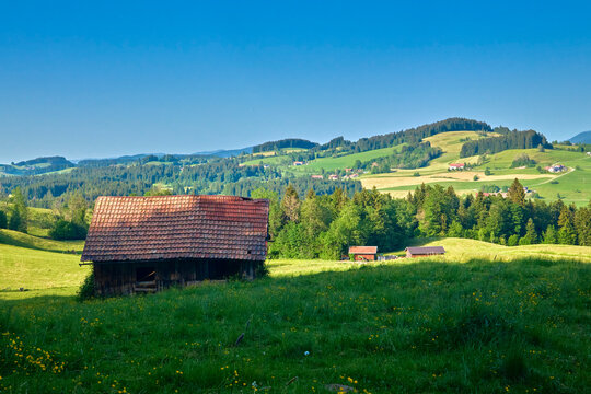 Rural countryside landscape with meadow flowers, barn , forest and rolling green hills in summer, Allgaeu Alps, Bavaria, Germany