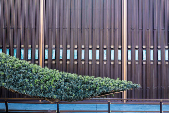 Luxury oriental geometric pattern texture of metallic facade with turquoise glass decorations and green podocarpus branch.