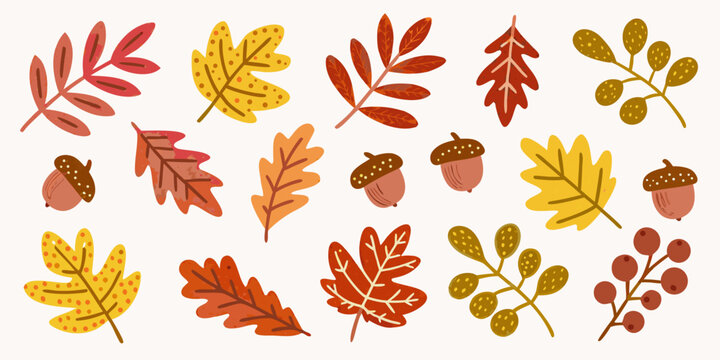 fall leaves and acorns vector illustration autumn