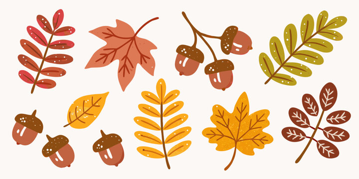 fall leaves and acorns vector illustration autumn