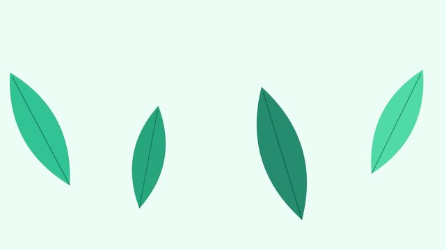 A collection of four simple green leaves arranged on a plain white background